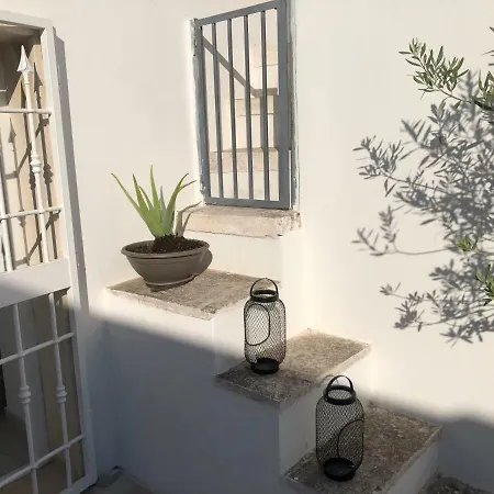 La Terrazza Di Palazzo Martucci 公寓