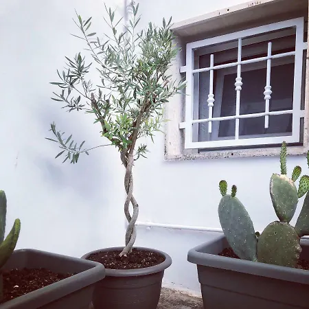 La Terrazza Di Palazzo Martucci 公寓 *